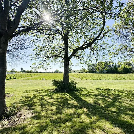 Nyaraló Luxury Nest 10 Guests Free Parking Middlesbrough